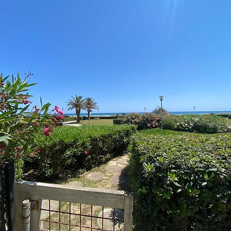 Apartamento Les Pieds Dans L'Eau Canet-en-Roussillon Exterior foto